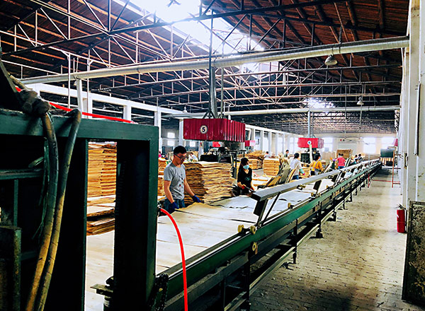 清水模板制造現場(chǎng)